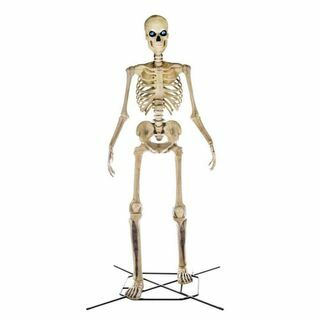 12 ft gigantisch skelet 