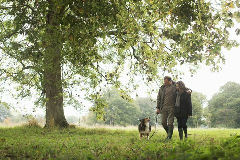 Oud echtpaar op het platteland wandelen met hun hond