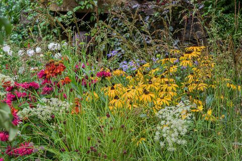 geleidehonden 90e verjaardag tuin ontworpen door adam woolcott en jonathan smith gesponsord door blindengeleidehonden voor blinden vereniging artisanale tuin rhs chelsea bloemenshow 2021 stand no 566