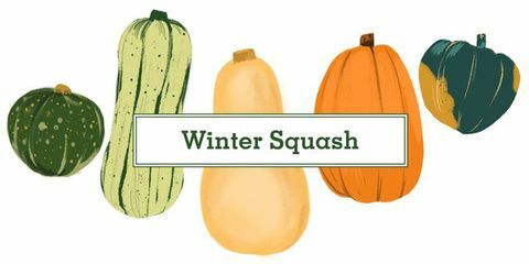16 soorten squash