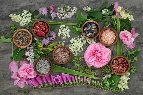 Helende kruiden en bloemen