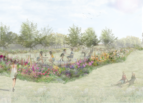 rozentheetuin, rhs feature garden, ontworpen door pollyanna wilkinson, rhs hampton court Palace Garden Festival 2022