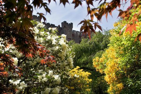 muncaster kasteel