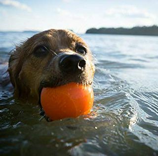 Planet Dog Orbee-Tuff Squeak, bijna onverwoestbaar Dog Ball Fetch-Chew Toy voor agressieve Chewers, gemaakt in de VS, medium 3-inch, oranje