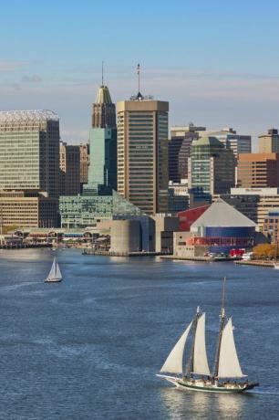 baltimore skyline en binnenhaven met drie zeilboten op het water op de voorgrond en twee zeilboten op de achtergrond