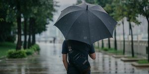 achteraanzicht van slimme causale man die paraplu vasthoudt en langs het park loopt in regenachtige stedelijke stad