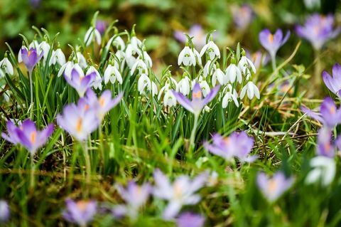 Winterweer 12 februari 2019