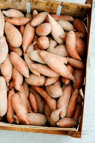 neerkijkend op een houten kist gevuld met onlangs geoogste zoete aardappelen die te zien is op een boerenmarkt