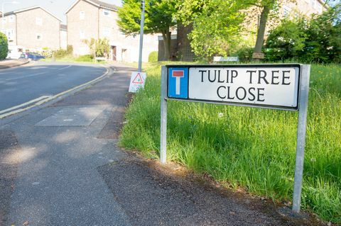 Tonbridge - Tulpenboom Sluiten - Royal Mail