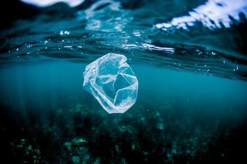 plastic zak drijvend over rif in de oceaan, costa rica