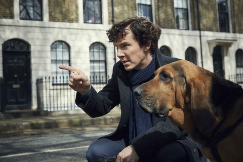 Benedict Cumberbatch als Sherlock met een hond in BBC TV-show