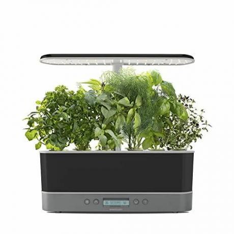 Harvest Elite Slim met Gourmet Herb Seed Pod Kit