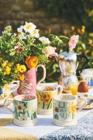 Emma Bridgewater lentecollectie