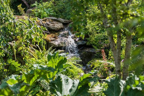 Kate Middleton Back to Nature garden