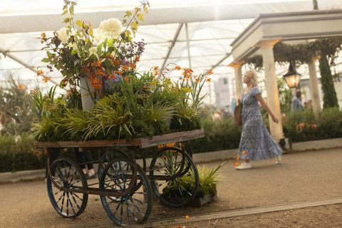 in het grote paviljoen op de rhs chelsea flower show 2021