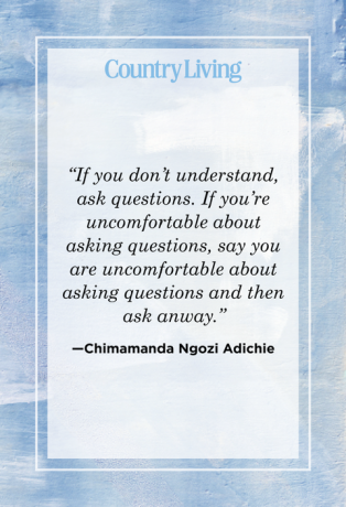 chimamanda ngozi adichie citaat