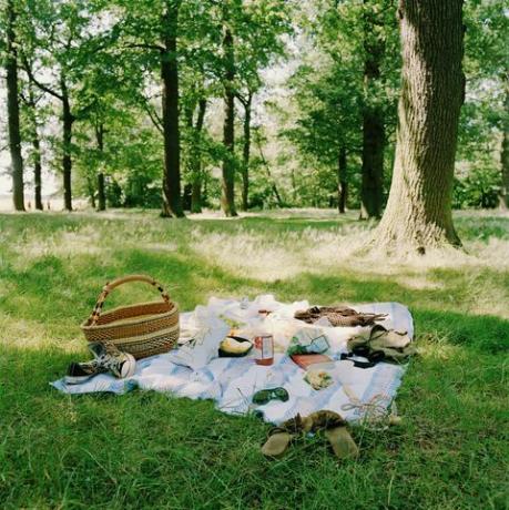 Picknick op gras dichtbij bomen