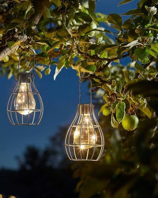 Solar Company Lightbulb Cage Lantern