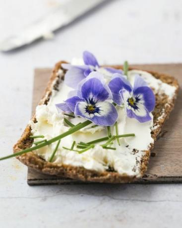 sneetje volkorenbrood met roomkaas, bieslook en eetbare gehoornde viooltjes