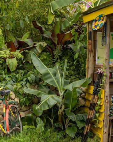 Chelsea Flower Show 2023 tuinieren tuinontwerp fauna flora