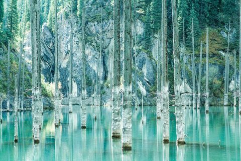 Lake Kaindy, Kazachstan - bomen in water