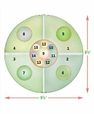 Sleutel tot plan 1. Wilde aardbei (Fragaria vesca) 12 planten, 8 inch uit elkaar geplant; 8 tot 10 centimeter lang; 3-delige waaiervormige bladeren; kleine witte bloemen gevolgd door zaadachtige vruchten ter grootte van een erwt. De bladeren maken een fruitige thee; kan worden gecombineerd met zoet bedstro. Zones 4 tot 8.