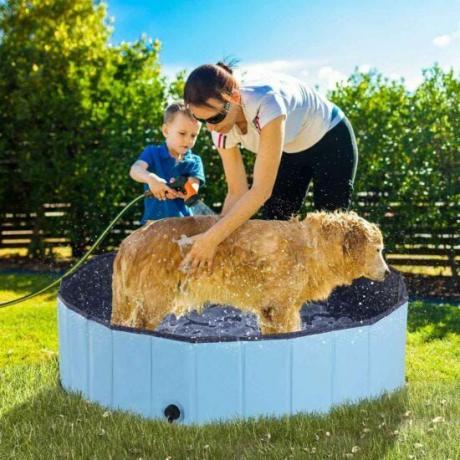 Huisdierenzwembad Zwemmen binnen en buiten 