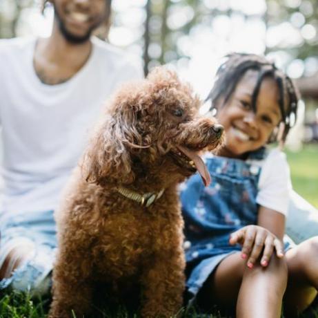 familie spelen in park met hond