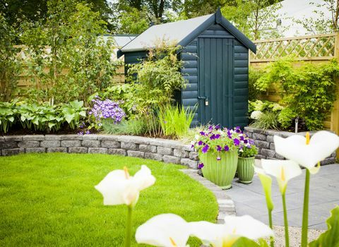 Tuinhuisje in een prachtige groene tuin