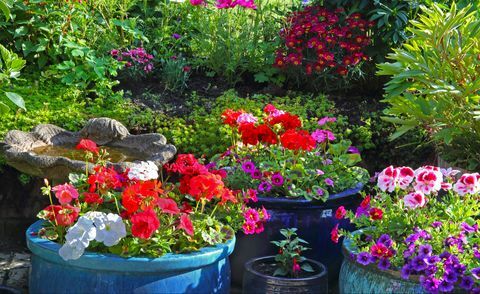 hoe u uw tuin klaarmaakt voor de lente