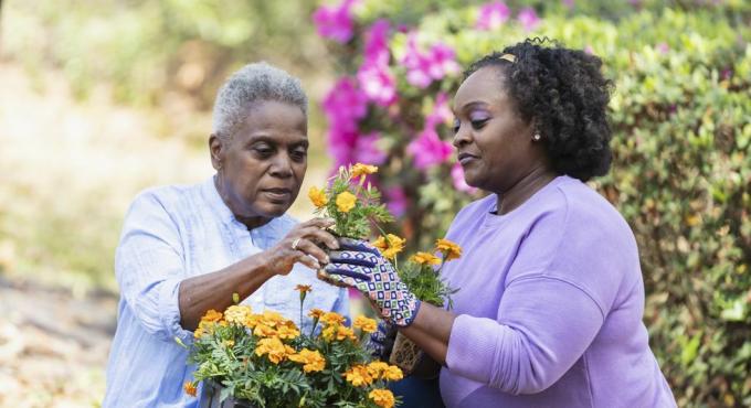 een oudere Afro-Amerikaanse vrouw en haar volwassen dochter tuinieren samen in de achtertuin de moeder houdt een dienblad met oranje bloemen op haar schoot en geeft een van de bloemen aan haar dochter