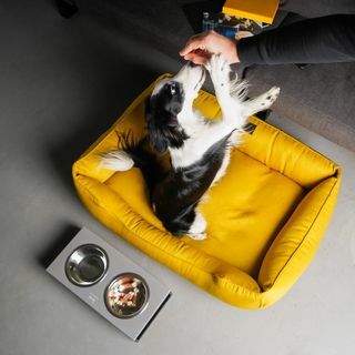 GEEL Hondenbed met afneembare hoes helder hondennest MUSTARD XS - XXL maat mat voor hond, cadeau voor hondenbezitters