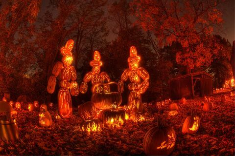 beste halloweenfestivals de grote jack-o'-lantaarnvlam