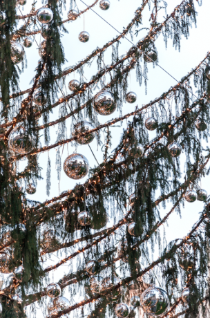 De Kerstboom nagesynchroniseerd Mangy van Rome