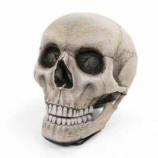 Skull Zitzak Stoel