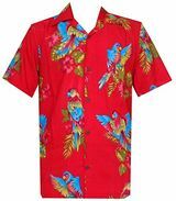 Hawaiiaans shirt