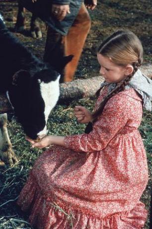 Een afbeelding van het tv-programma Little House on the Prairie