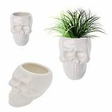 Skull Planter