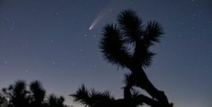 komeet neowise zichtbaar in Zuid-Californië