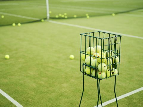12 dingen die je nooit over Wimbledon wist