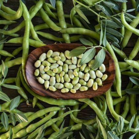 tuinbonen limabonen vers net na de oogst achtergrond met bladeren van de plant