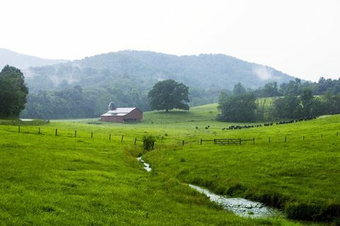 Bundoran Farm-stroom