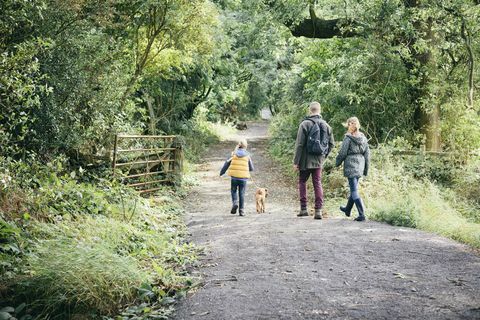 wandelend landschap