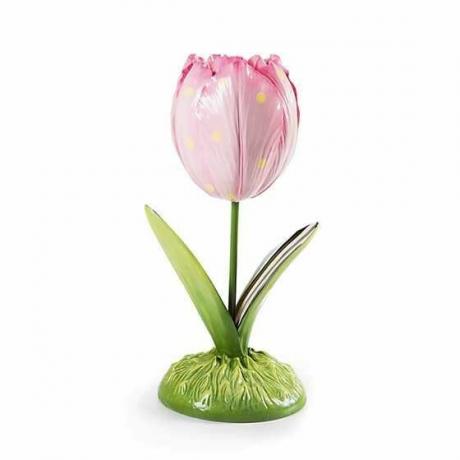 Jumbo Tulp