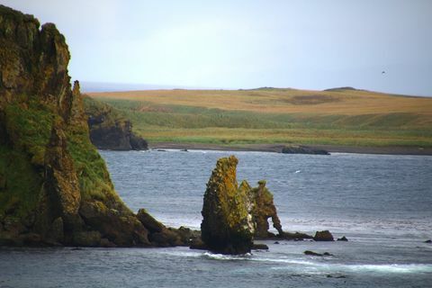 Aleutian Islands- Baby Islands