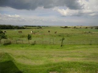 Schurenboerderij - terrein