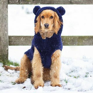 Hondenhoodie teddybeer - Large