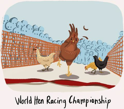 hen racing - vreemdste Britse tradities - Character Cottages