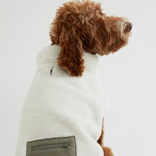 Hondenjack van imitatielamswol met zakdetail