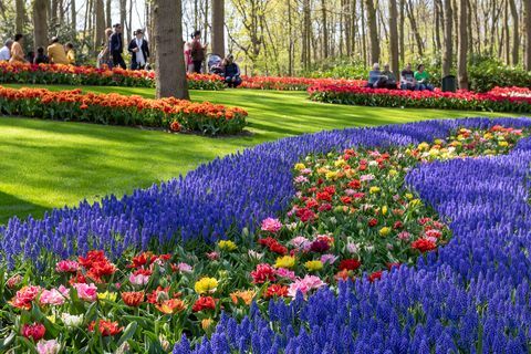 Keukenhof 2019